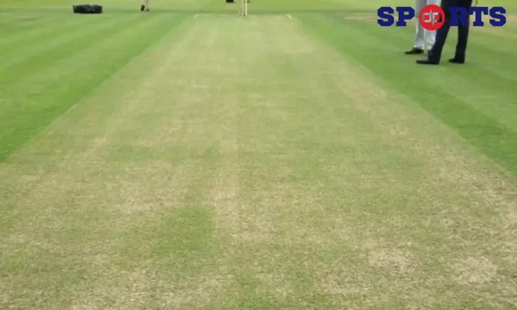 Green Cricket Pitches