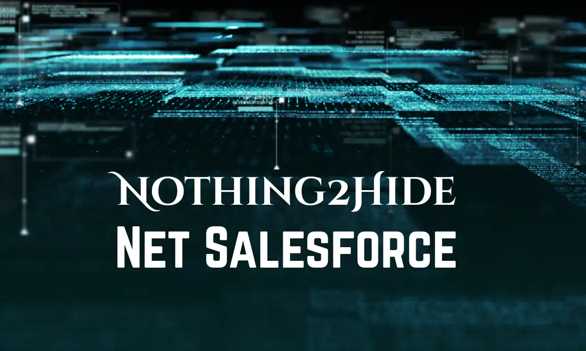 Nothing2Hide Net Salesforce
