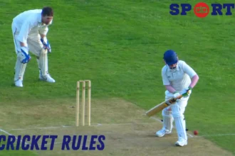 cricket rules