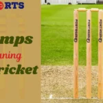 Stumps Meaning in Cricket