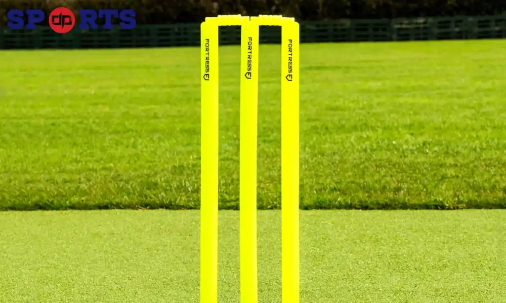 Portable Stumps