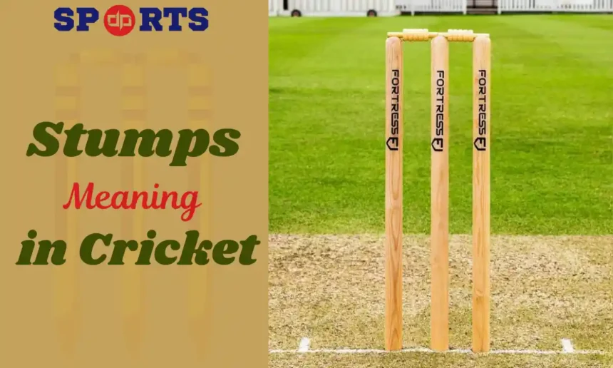 Stumps Meaning in Cricket