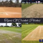 types of cricket pitches