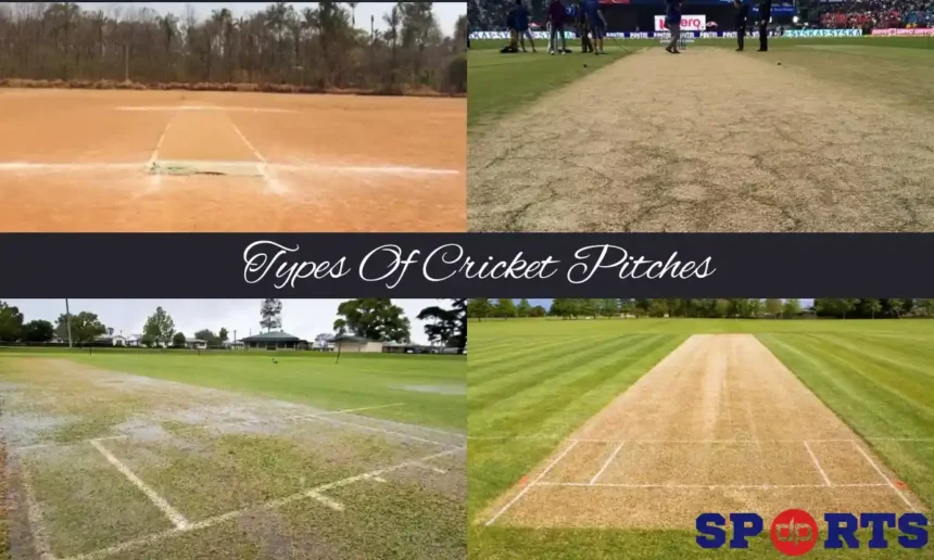 types of cricket pitches